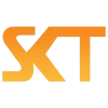 Website icon for sktthemes.org