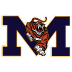 Website icon for smtigers.com