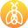 Website icon for socialglow.com