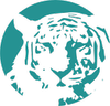 Website icon for somaticexperiencing.com