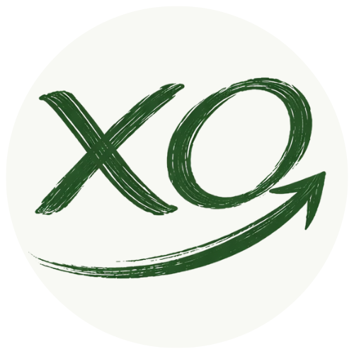 Website icon for spiralxo.com
