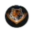Website icon for sportstiger.com