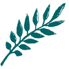 Website icon for stacyrayekellogg.com
