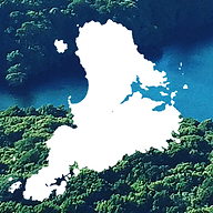 Website icon for stewartislandflights.co.nz