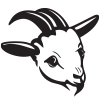 Website icon for stonehamlibrary.org