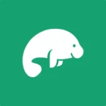 Website icon for studio3t.com