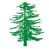 Website icon for sugarpinefoundation.org