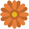 Website icon for summerwindsnursery.com