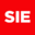 Website icon for surinenglish.com