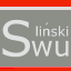 Website icon for swulinski.com