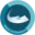 Website icon for systemskills.in