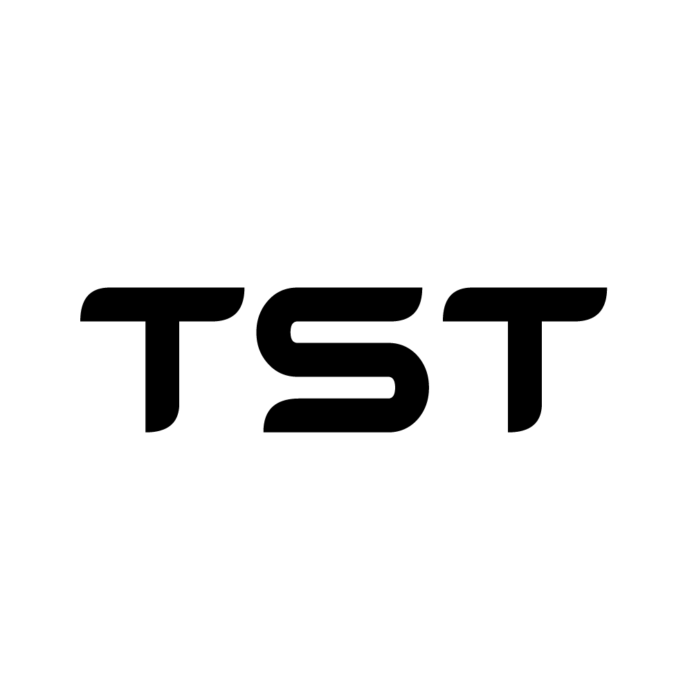 Website icon for techsquadteam.com