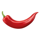 Website icon for terredicampania.it