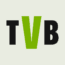 Website icon for thatvideogameblog.com