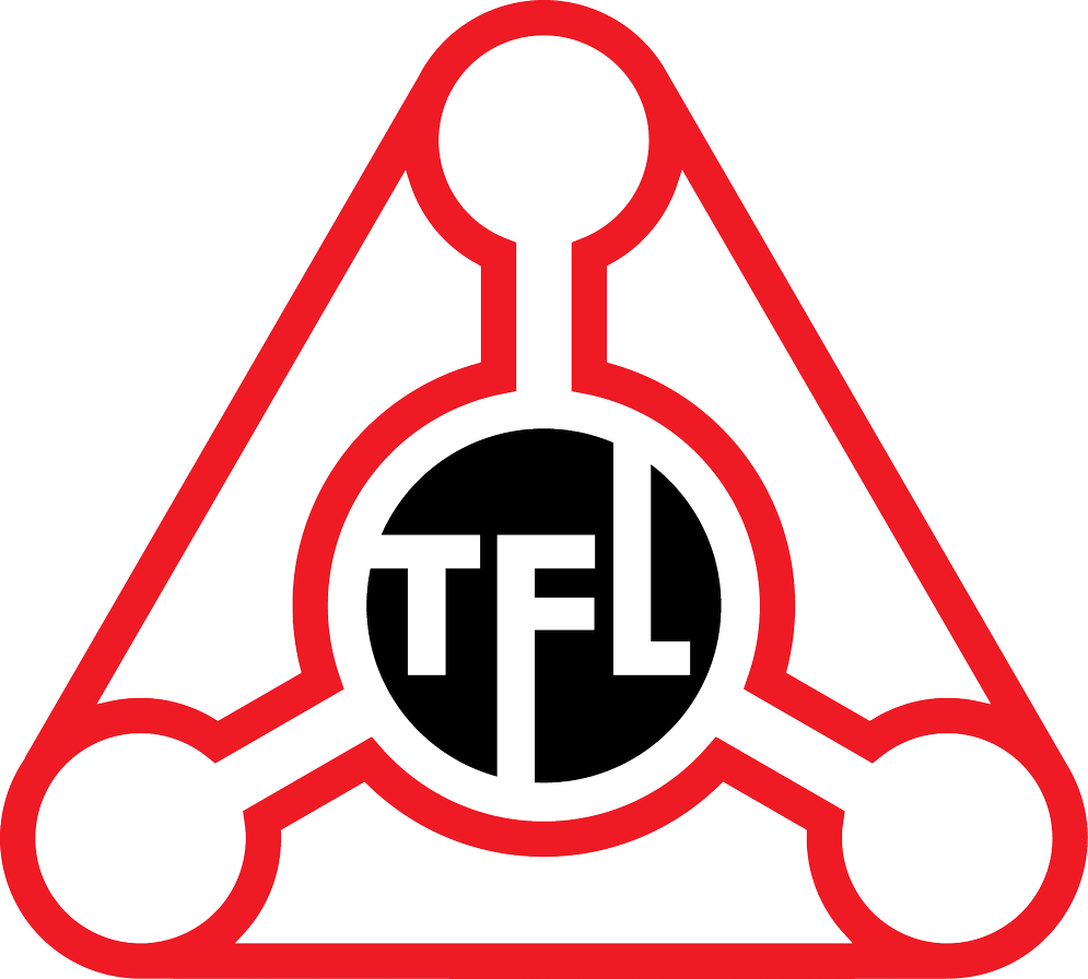 Website icon for thefulfillmentlab.com