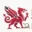 Website icon for thenational.wales