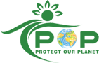 Website icon for thepopmovement.org