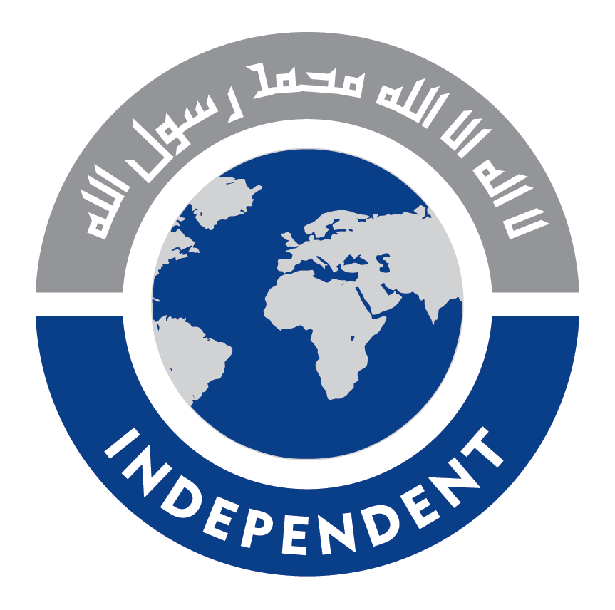 Website icon for theprofesional.com