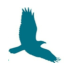 Website icon for theseahawk.org