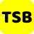 Website icon for thespeedybrains.com
