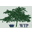 Website icon for thewomenstherapypractice.co.uk