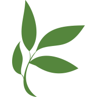 Website icon for timberlineknolls.com