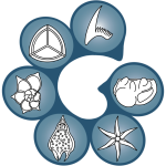 Website icon for tmsoc.org