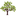 Website icon for tolibrary.org