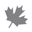 Website icon for tourismfernie.com