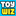 Website icon for toywiz.com