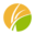 Website icon for transformingcenter.org