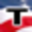 Website icon for translation-services-usa.com