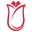 Website icon for turkiyeburslari.gov.tr