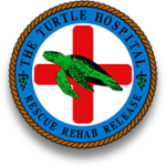 Website icon for turtlehospital.org