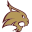 Website icon for txst.com