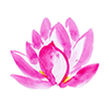 Website icon for urbansacredgarden.com