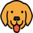Website icon for usebruno.com