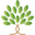 Website icon for usehabits.com