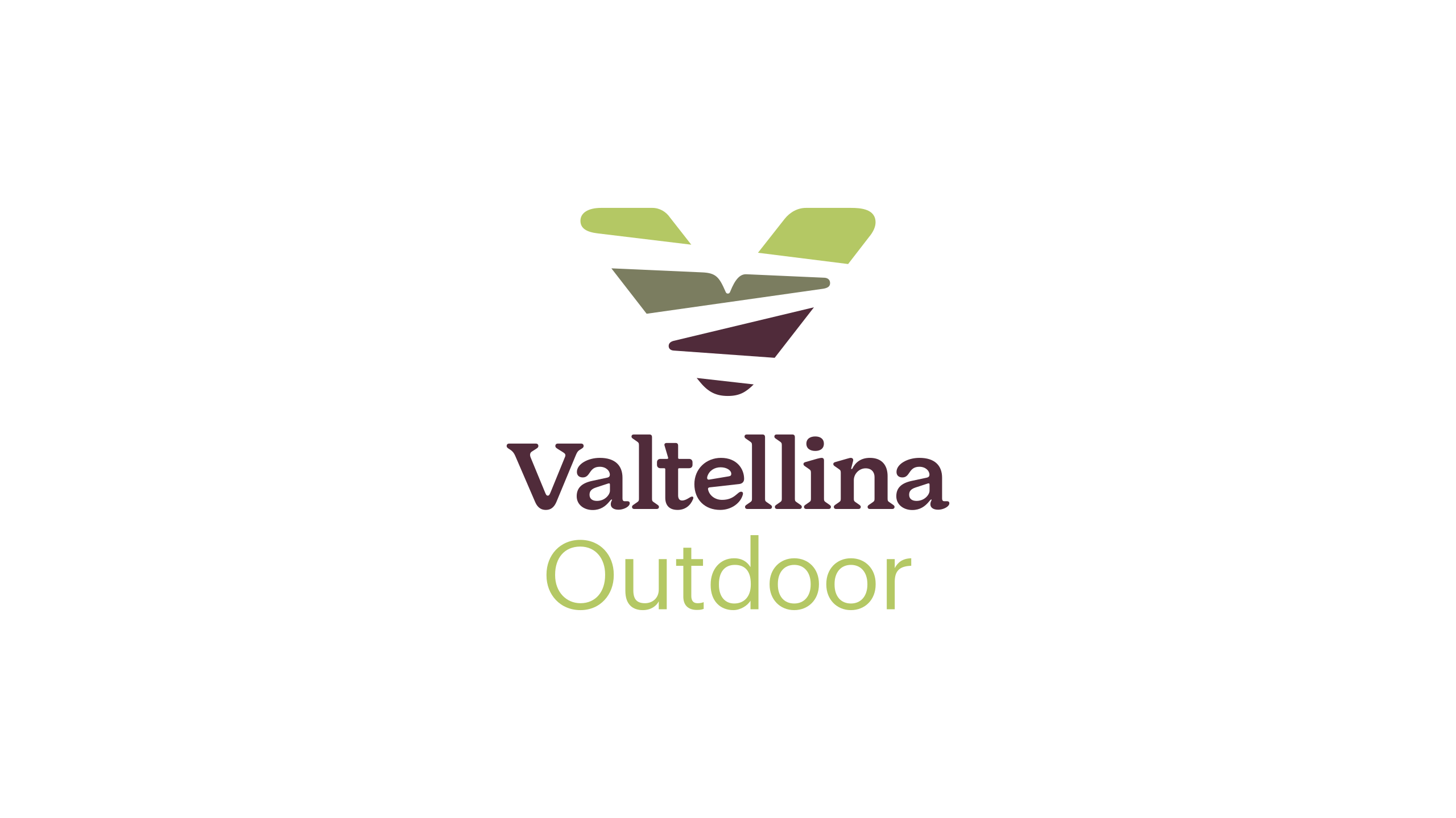 Website icon for valtellinaoutdoor.it