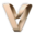 Website icon for veldonlab.com