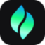 Website icon for verdent.ai