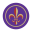 Website icon for violanation.com