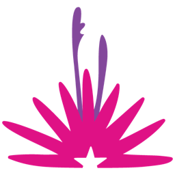 Website icon for visitelpaso.com