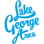 Website icon for visitlakegeorge.com