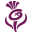Website icon for visitscotland.org
