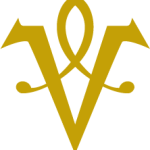 Website icon for vmmiamibeach.com