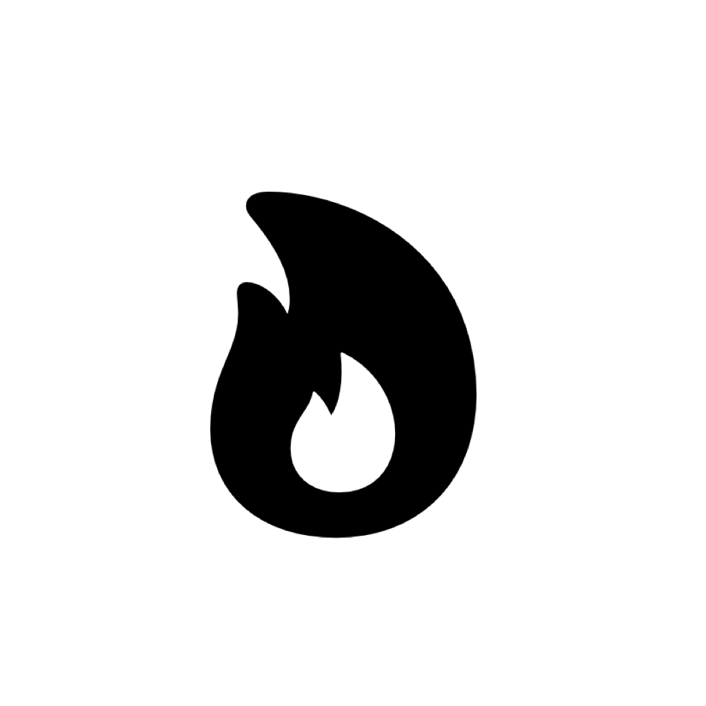 Website icon for voiceview.app