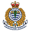 Website icon for vpd.ca
