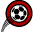 Website icon for vulvalpainsociety.org