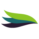Website icon for wanainstitute.org